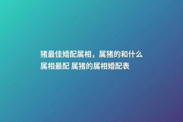 猪最佳婚配属相，属猪的和什么属相最配 属猪的属相婚配表-第1张-观点-玄机派